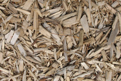 biomass boilers Llananno